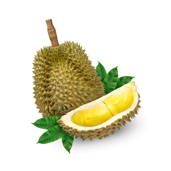 دوریان کل